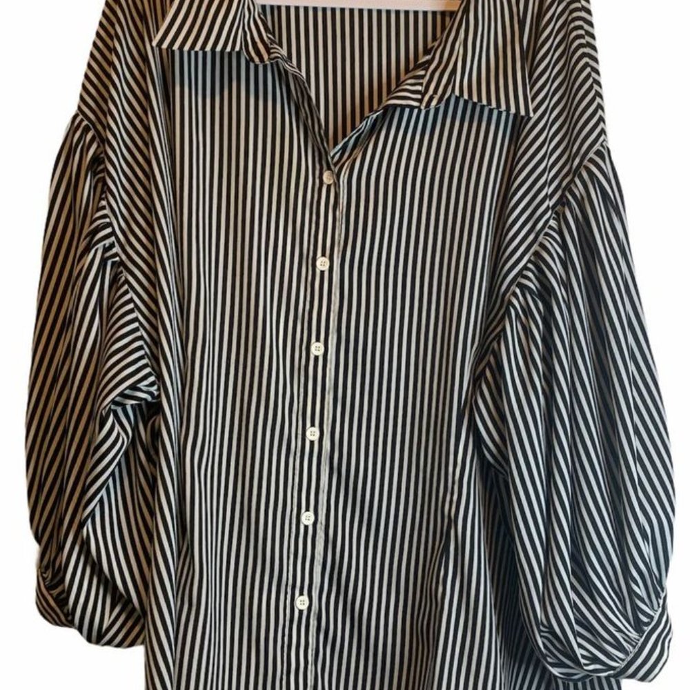 Silhouette Women’s Striped Button Down Size 5X